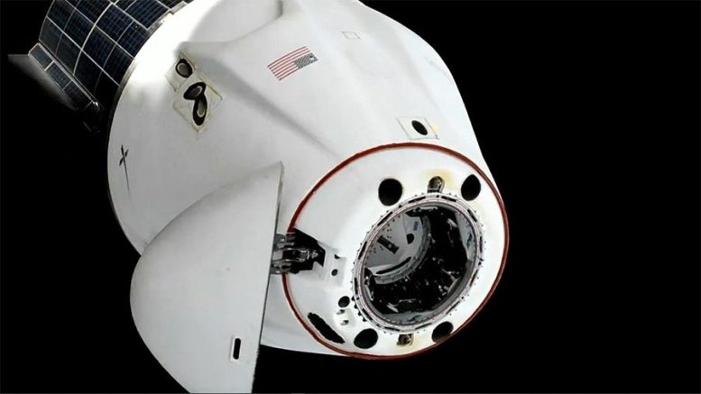 SpaceX Dragon Freedom Crew Ship Undocks From ISS