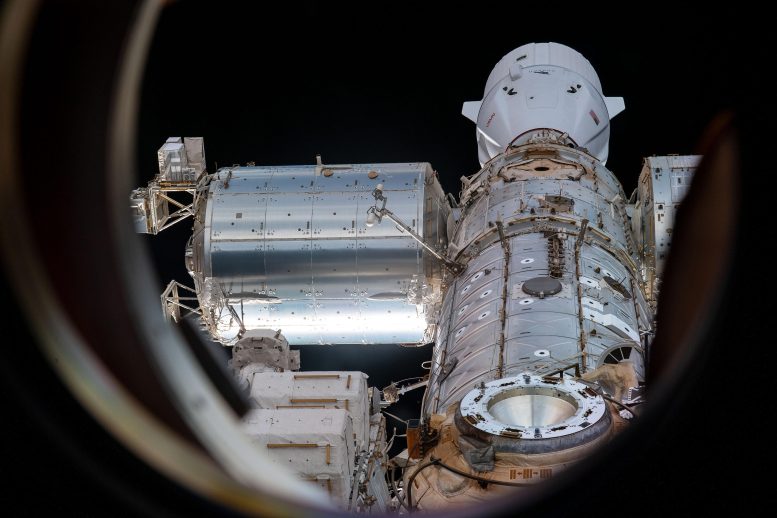 SpaceX Dragon Resupply Ship Docked to Harmony