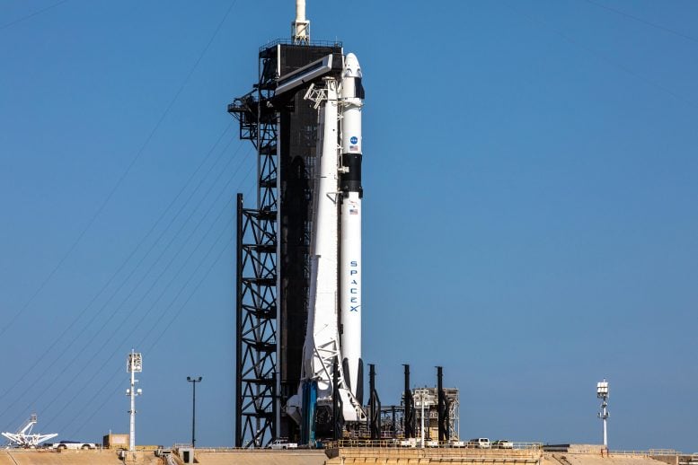 SpaceX Falcon 9 Rocket Crew Dragon Spacecraft