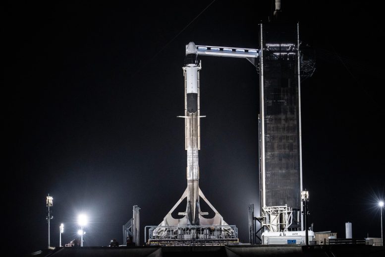 SpaceX Falcon 9 Rocket With Crew Dragon Endeavour Atop