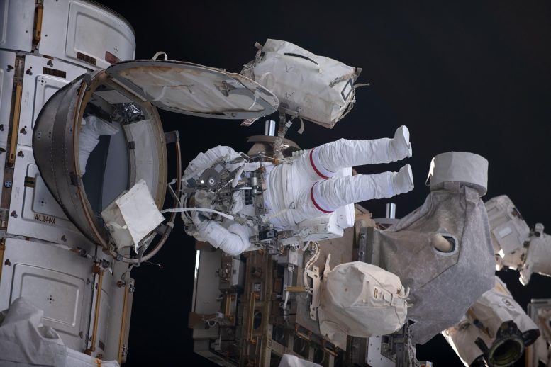 Spacewalker Stephen Bowen Exits the Quest Airlock