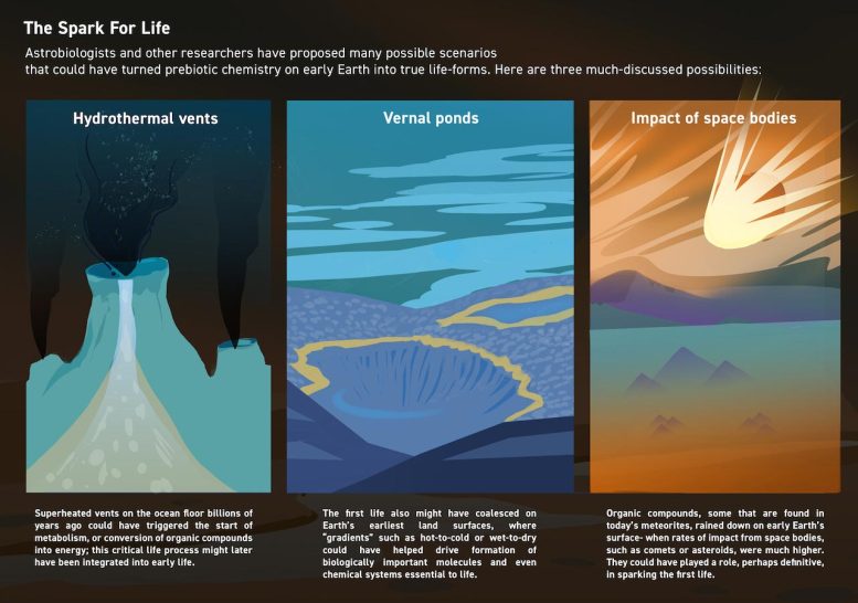 Spark for Life Infographic