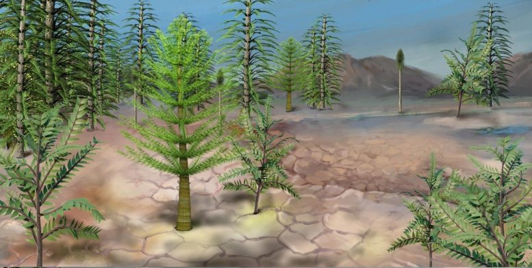 Sparse Vegetation, Dry Landscape
