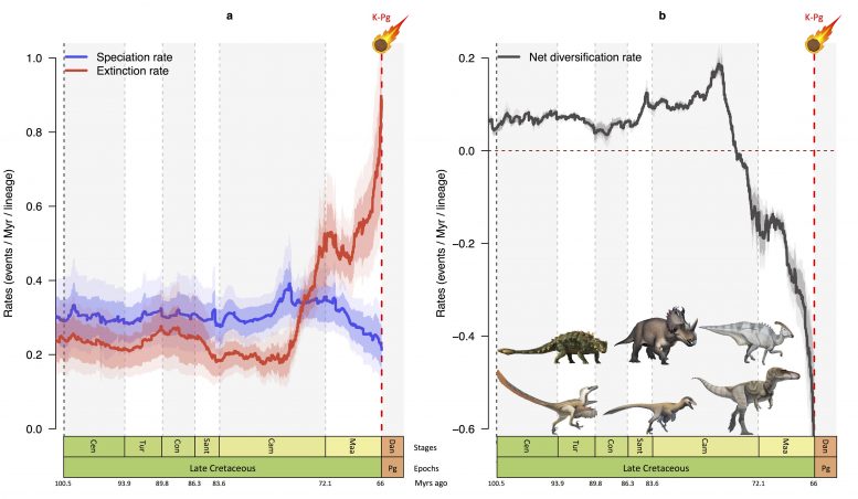 Speciation Rate and Extinction Rate Dinosaurs