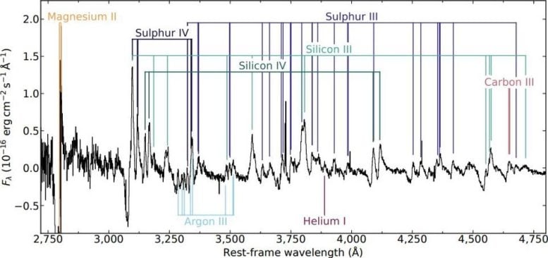 Spectral Lines of Multiple Elements in SN 2021yf
