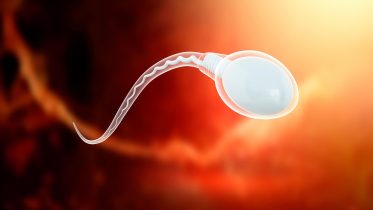 Sperm Cell Science Illustration