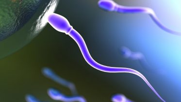 New Insights Into Infertility – Scientists Solve Century-Old Sperm Mystery