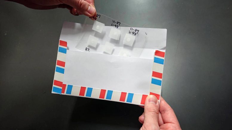 Sperm Sheets in Envelope