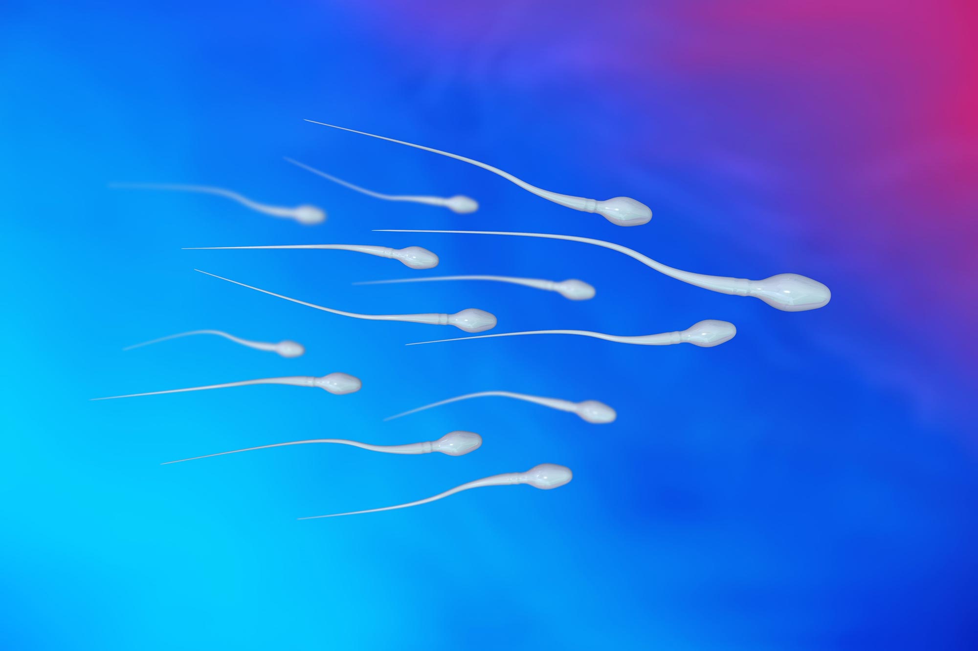 Why Do Some Men Not Produce Sperm?