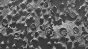 Spherical objects Opportunity reached last week differ in several ways from iron-rich spherules nicknamed blueberries