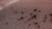 Spiders' from Mars