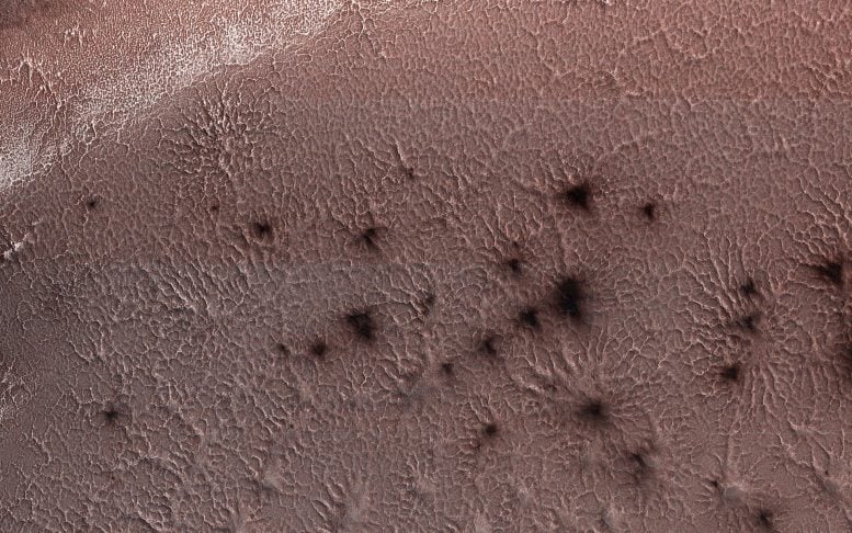 Spiders' from Mars