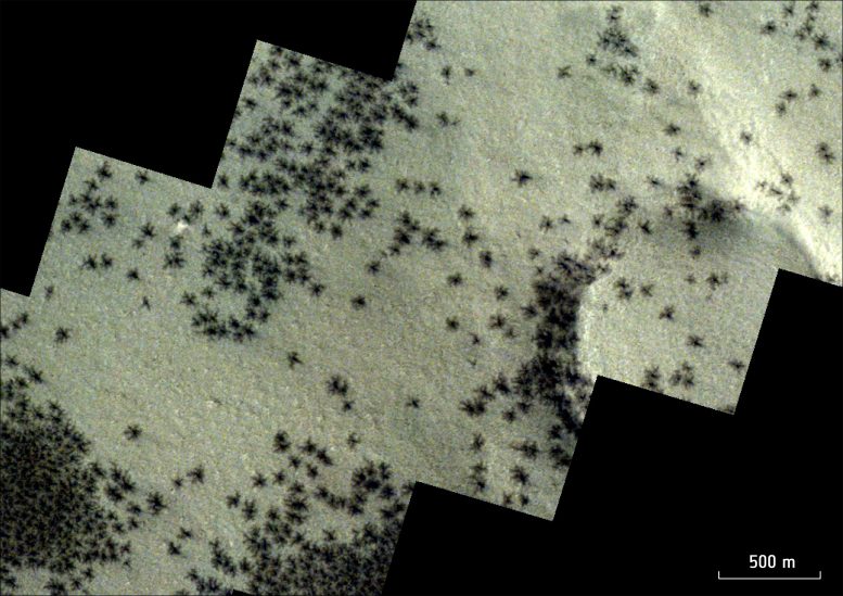 Mars'taki örümcekler ExoMars uzay aracı takibi