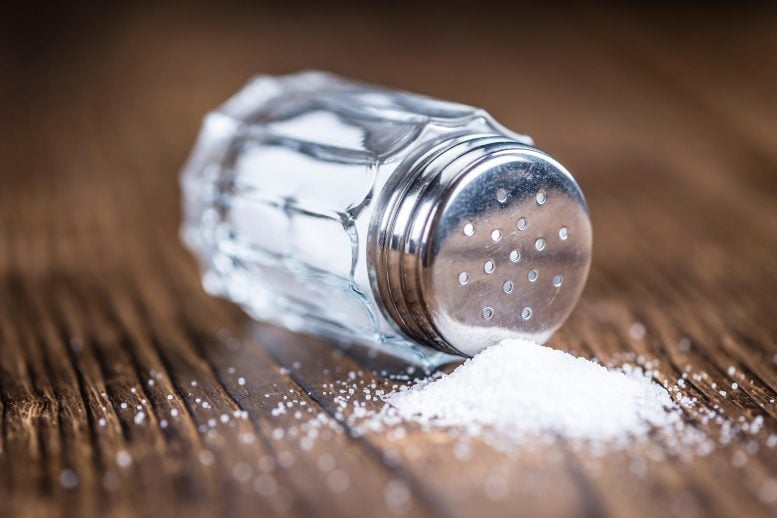 Spilt Salt Shaker Table