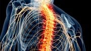 Spinal Cord Nerve Pain