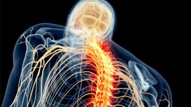 Unprecedented Recovery: Drug Helps Treat Spinal Cord Injuries