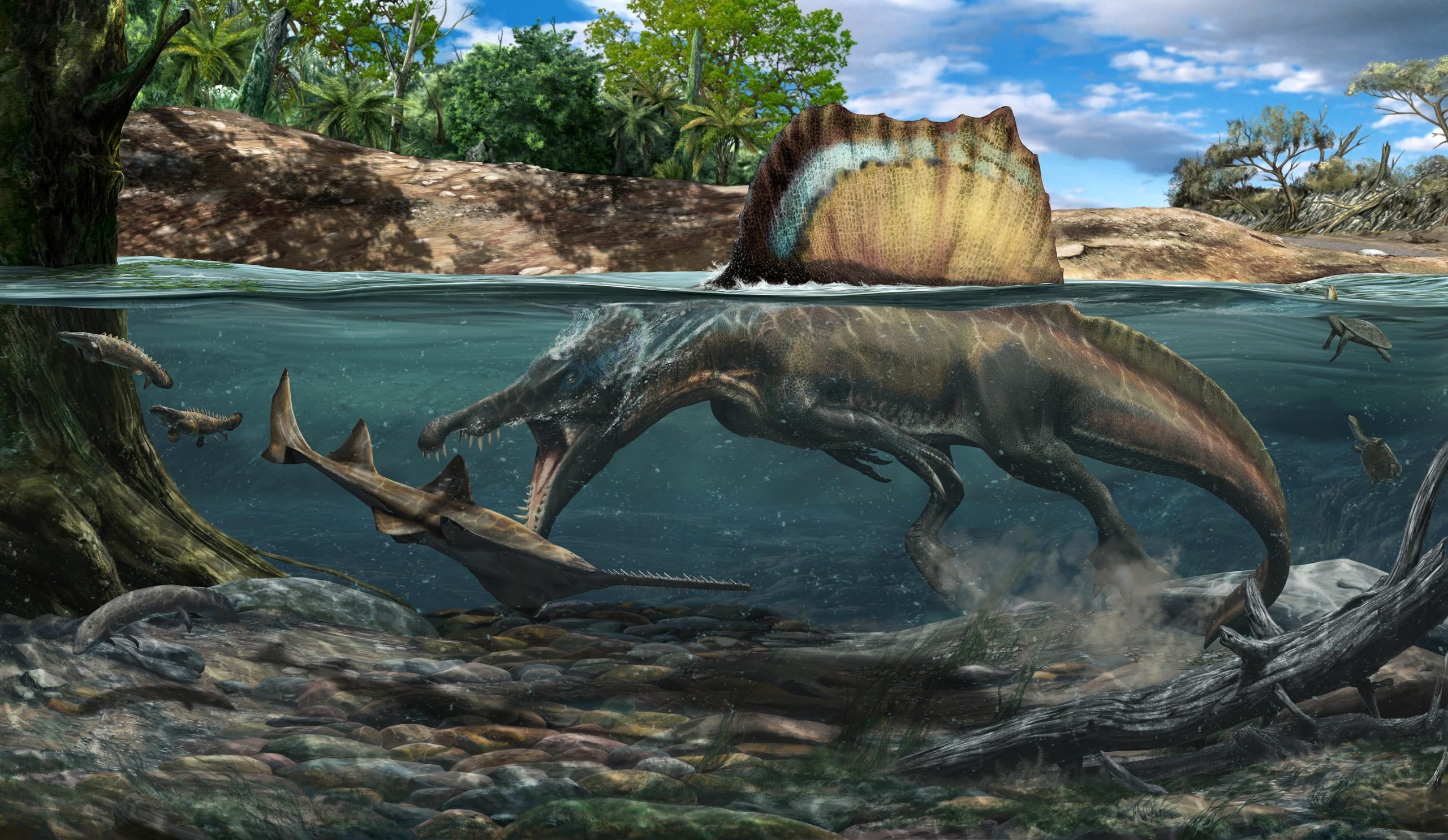 Spinosaurus “River Monster” Secrets Revealed in New Study – Predatory  Dinosaur Was Larger Than T. rex