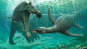 Spinosaurus and Plesiosaur in River