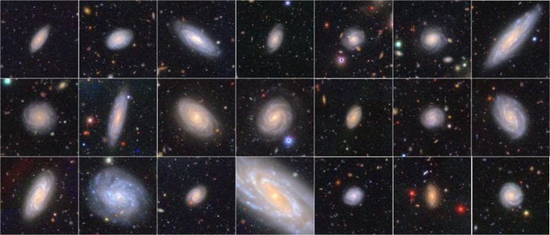 Spiral Galaxies Identified by Citizen Astronomers