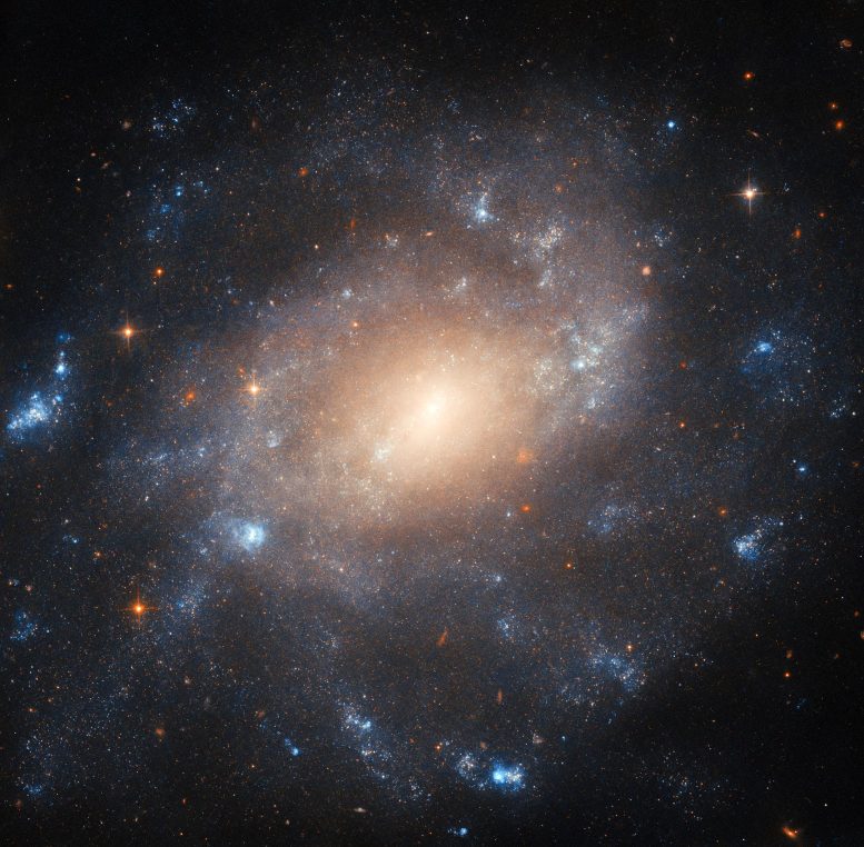 Spiral Galaxy ESO 422–41