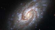 Spiral Galaxy IC 1954