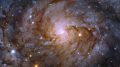 Spiral Galaxy IC 342