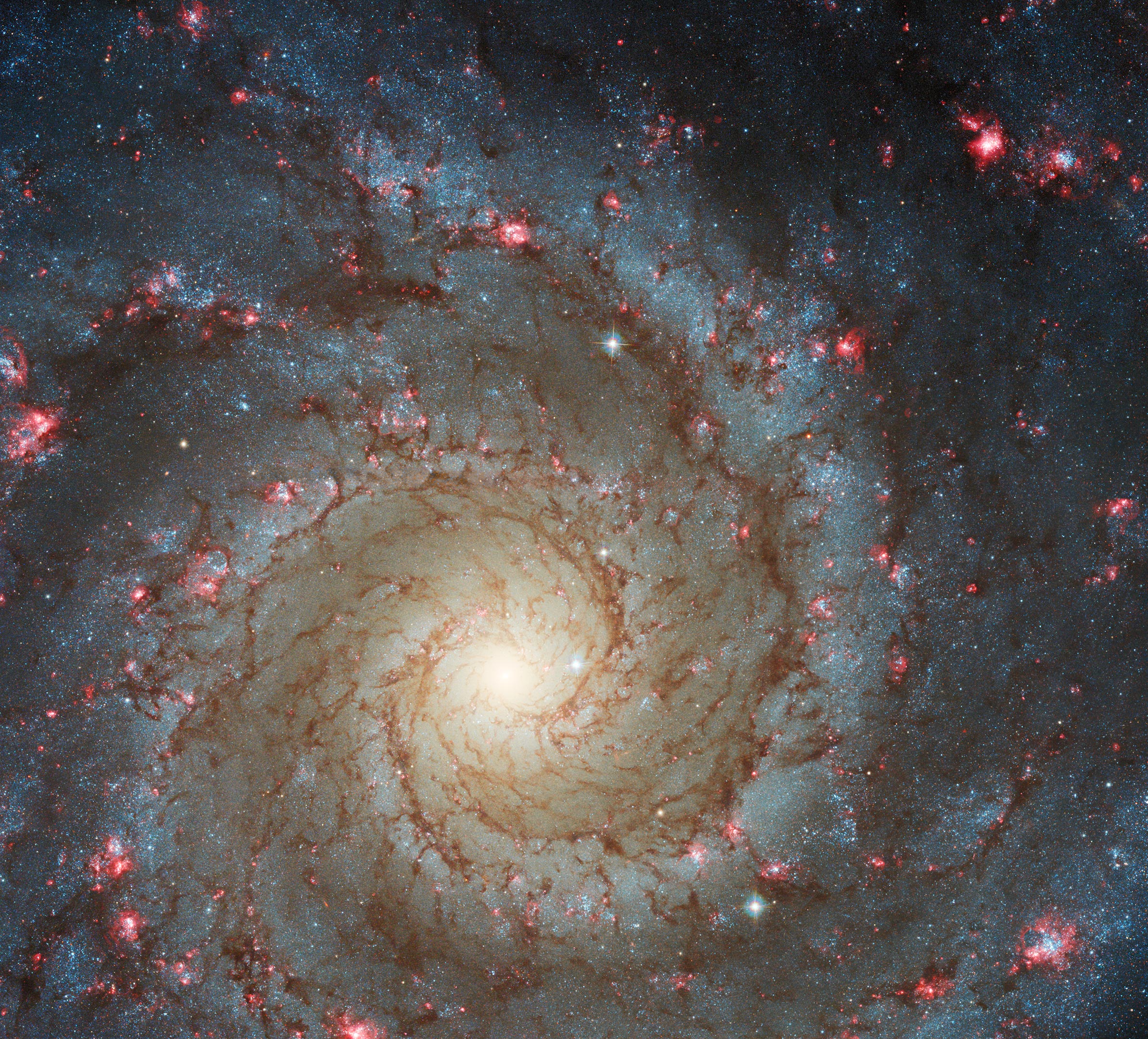 Stunning Hubble Image Reveals Fresh Star Formation in Phantom Galaxy