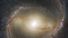 Spiral Galaxy M91