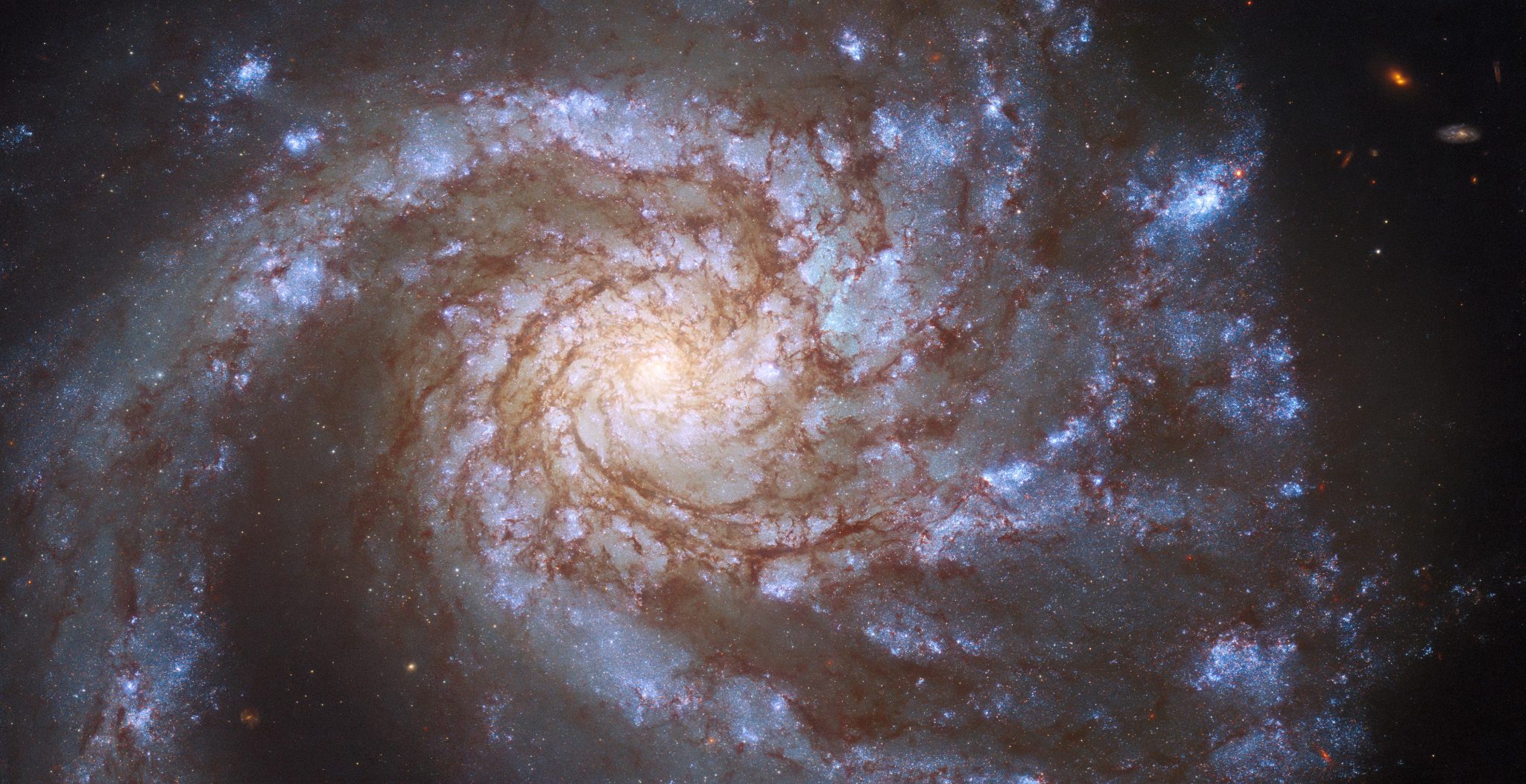 Spiral Galaxy M99