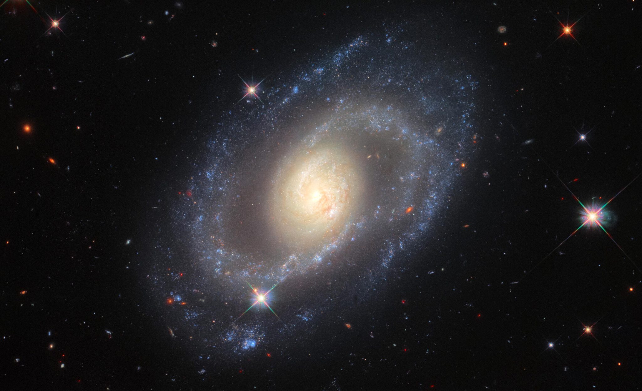 Spiral Galaxy Mrk 1337