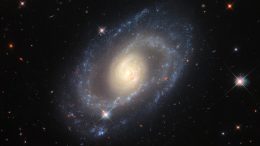 Spiral Galaxy Mrk 1337