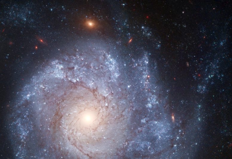 Spiral Galaxy NGC 1309 Supernova 2012Z
