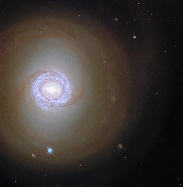 Spiral Galaxy NGC 1317