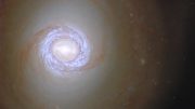 Spiral Galaxy NGC 1317 Crop