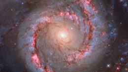 Spiral Galaxy NGC 1566
