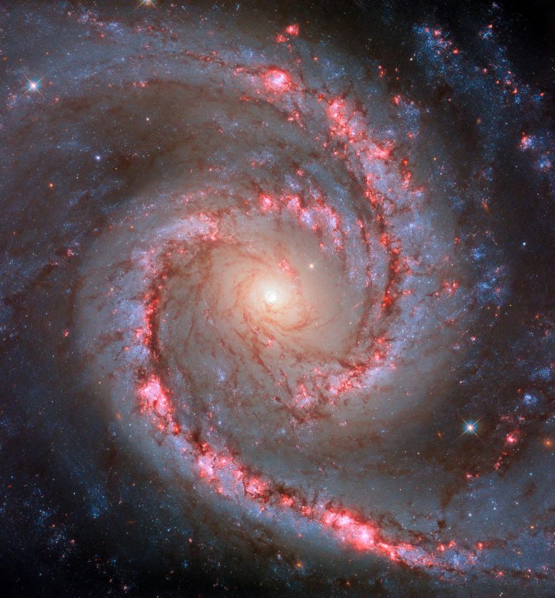 Spiral Galaxy NGC 1566
