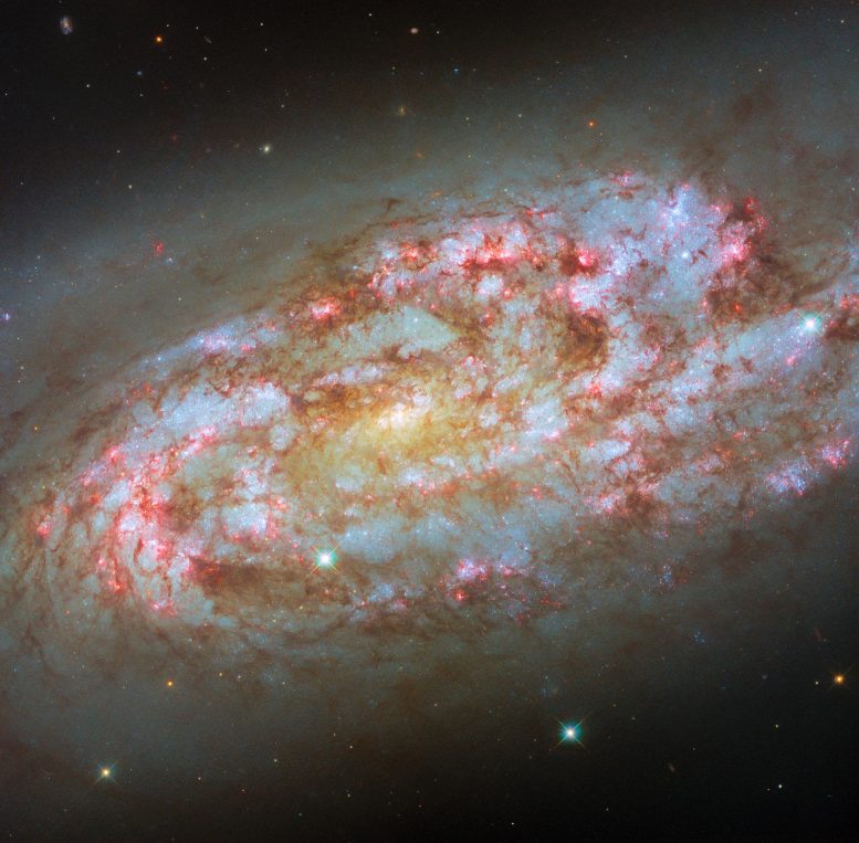 Spiral Galaxy NGC 1792
