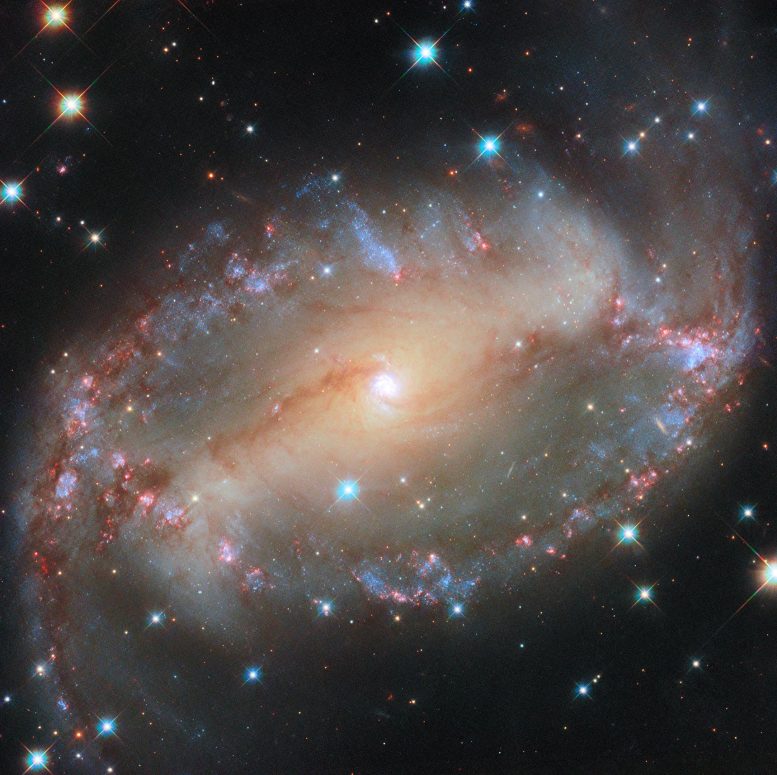 Spiral Galaxy NGC 2566
