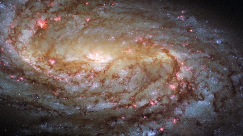 Hubble Telescope Views Stunning Spiral Galaxy NGC 2903
