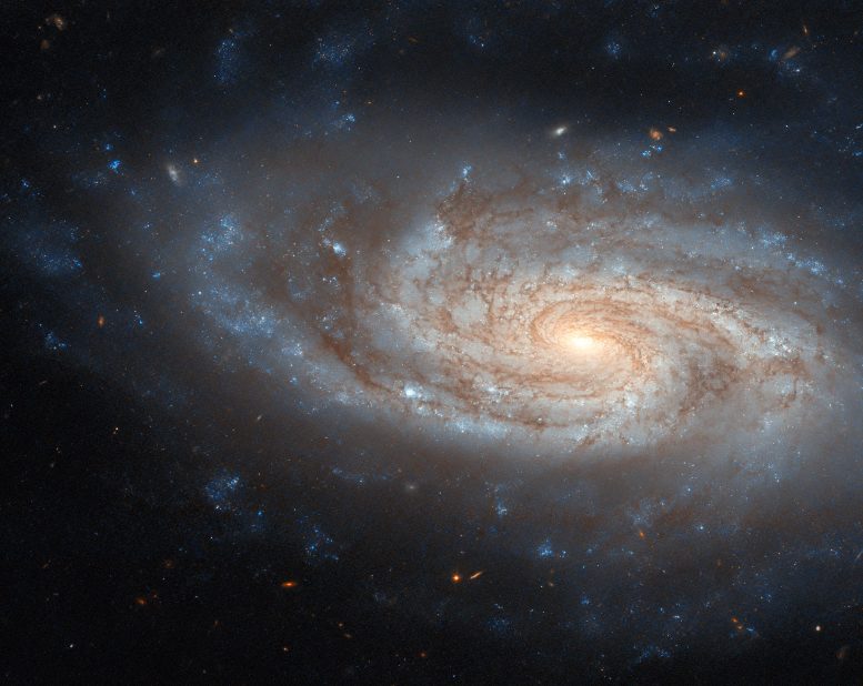 Spiral Galaxy NGC 3430