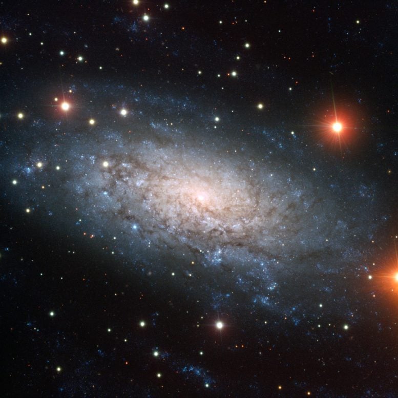 Spiral Galaxy NGC 3621