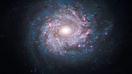 Spiral Galaxy NGC 3982