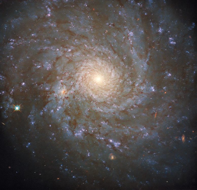 Spiral Galaxy NGC 4571
