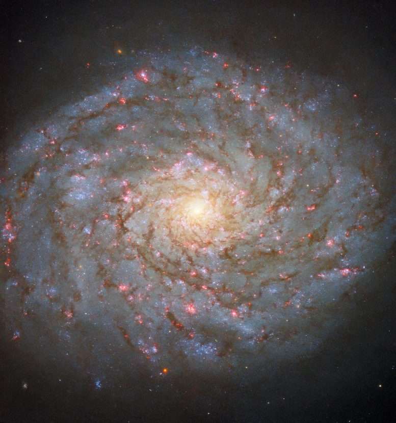 Spiral Galaxy NGC 4689