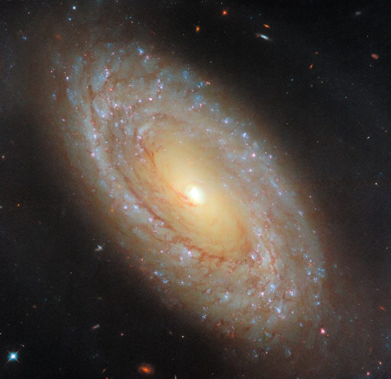 Spiral Galaxy NGC 4941