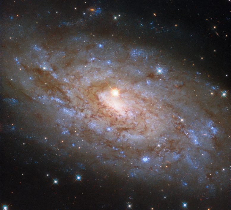 Spiral Galaxy NGC 5530