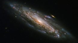 Spiral Galaxy NGC 5559