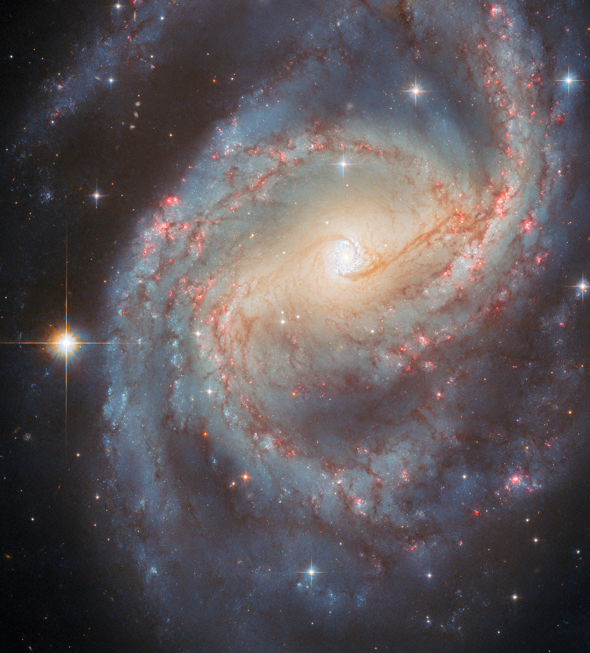 Spiral Galaxy NGC 6951