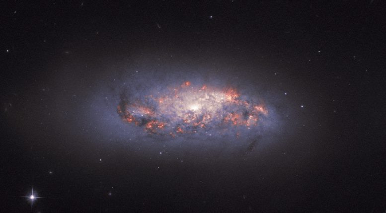 Spiral Galaxy NGC 972