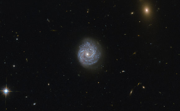 Hubble Views Spiral Galaxy RX J1140.1+0307